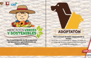 mercado-verde mercado-verde